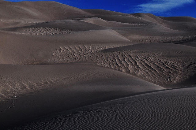 morning shot of the dunes